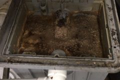 baton-rouge-grease-trap-cleaning-web-47